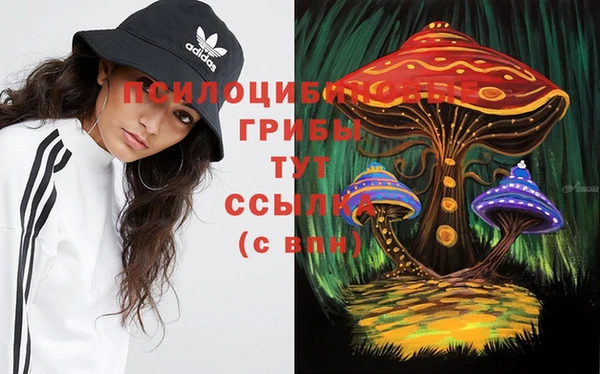 метамфетамин Каменка