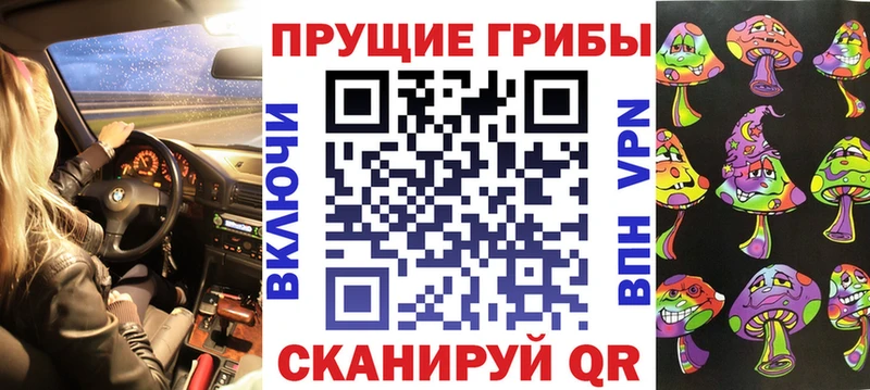Галлюциногенные грибы Psilocybe  Купить  Амурск 
